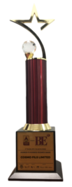 Brand Excellence Awards by ABP News